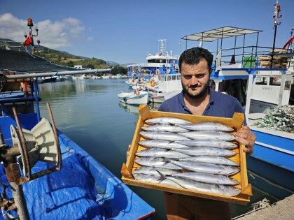 samsun haber: Samsun’da palamuta hücum! 200 kasa bir saatte bitti