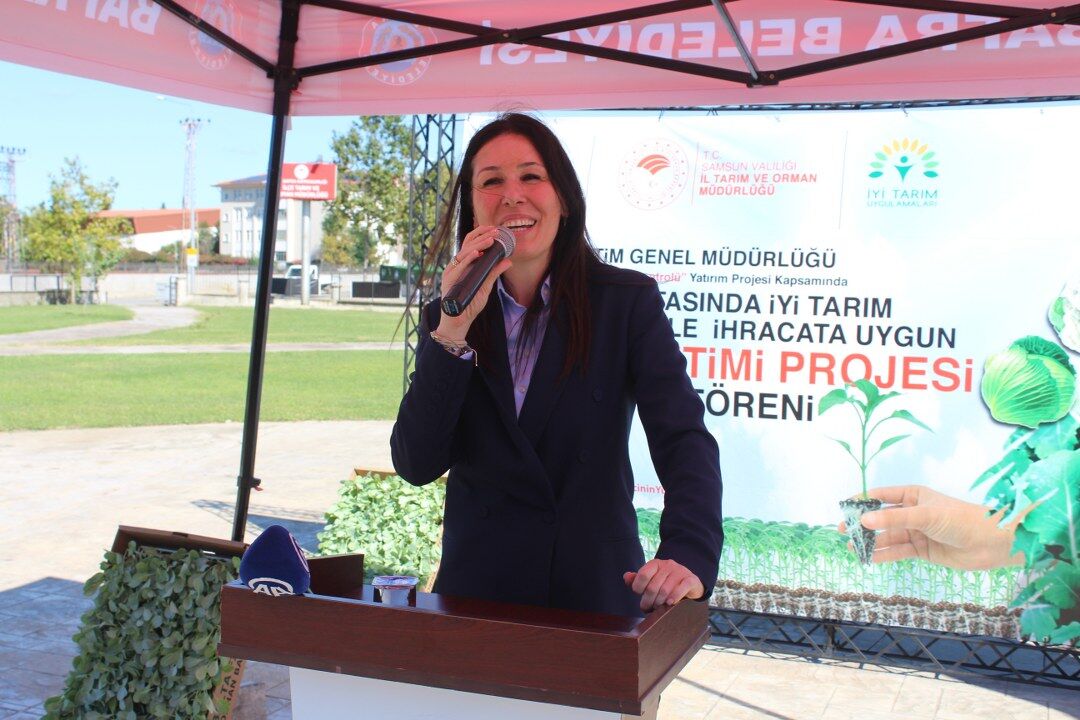 SAMSUN HABER Bafra’da tarım atağı! 266 bin fide üreticilerle buluştu 