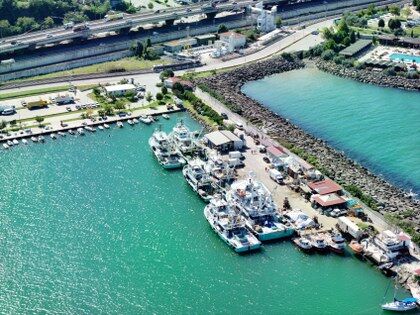 samsun haber:Samsun'da balık yılı! Fiyatı 50 liraya kadar düştü