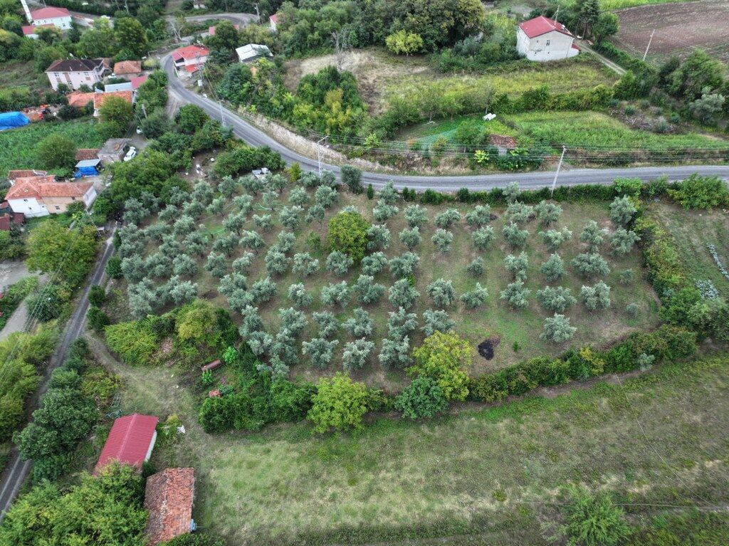Samsun’da duygulandıran vefa! Babalarının emanetine sahip çıktılar