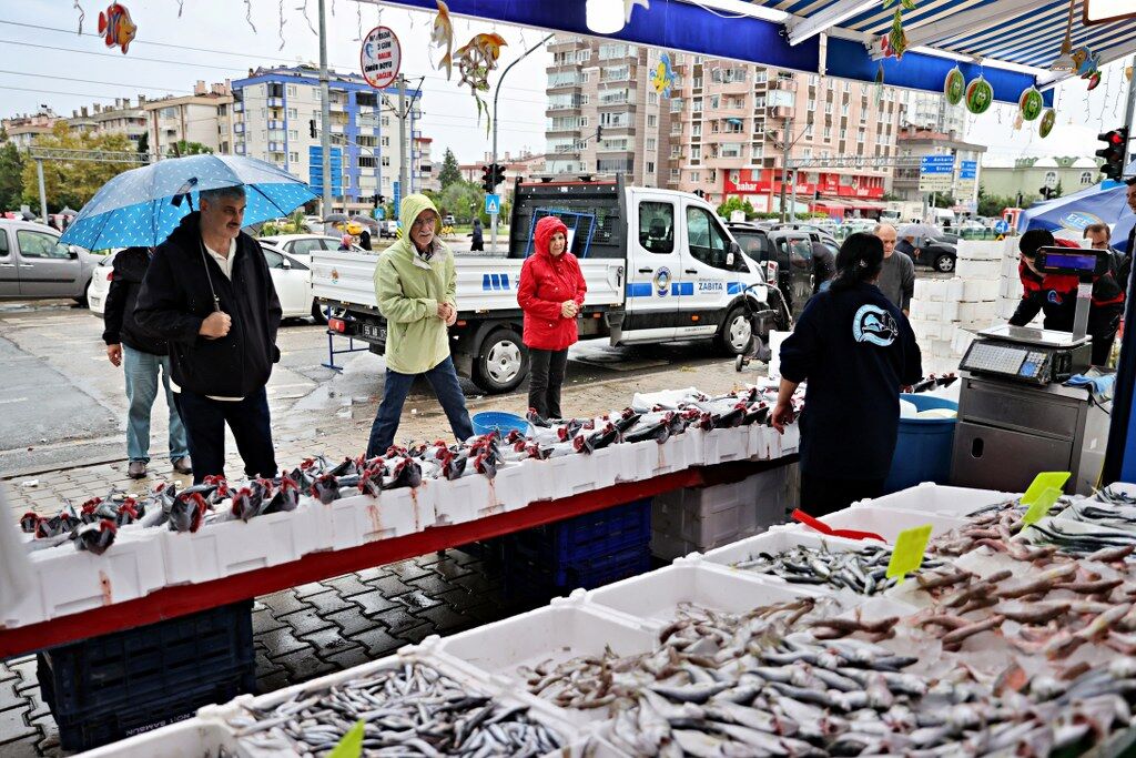 Samsun’da palamut bolluğu! Tanesi 100 liradan satılıyor