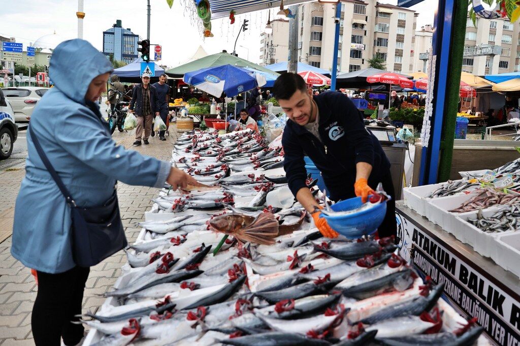 Samsun’da palamut bolluğu! Tanesi 100 liradan satılıyor