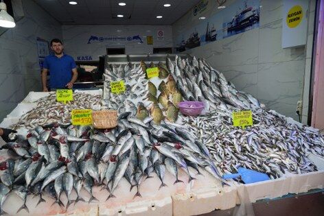 samsun haber: Samsun'da ilk ağlar doldu! Tezgahlarda palamut sürprizi