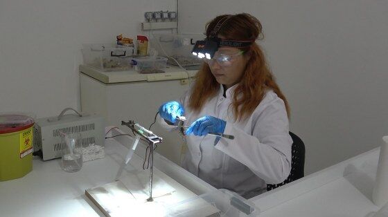 samsun haber: Samsun’da akrep zehri için düğmeye basıldı