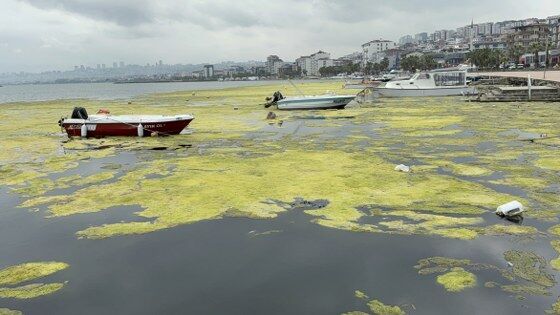samsun haber: Samsun Kurupelit Yat Limanı için harekete geçildi
