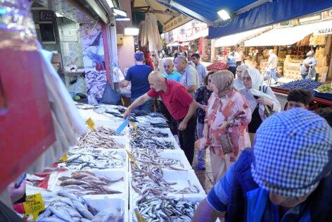 samsun haber: Samsun'da palamutun fiyatı 3 günde çakıldı! 