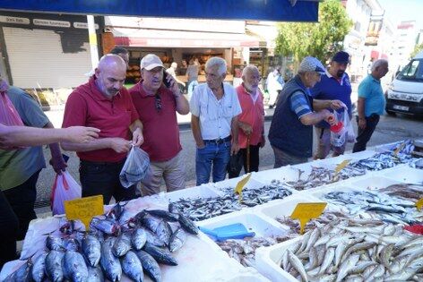 samsun haber: Samsun'da palamutun fiyatı 3 günde çakıldı! 