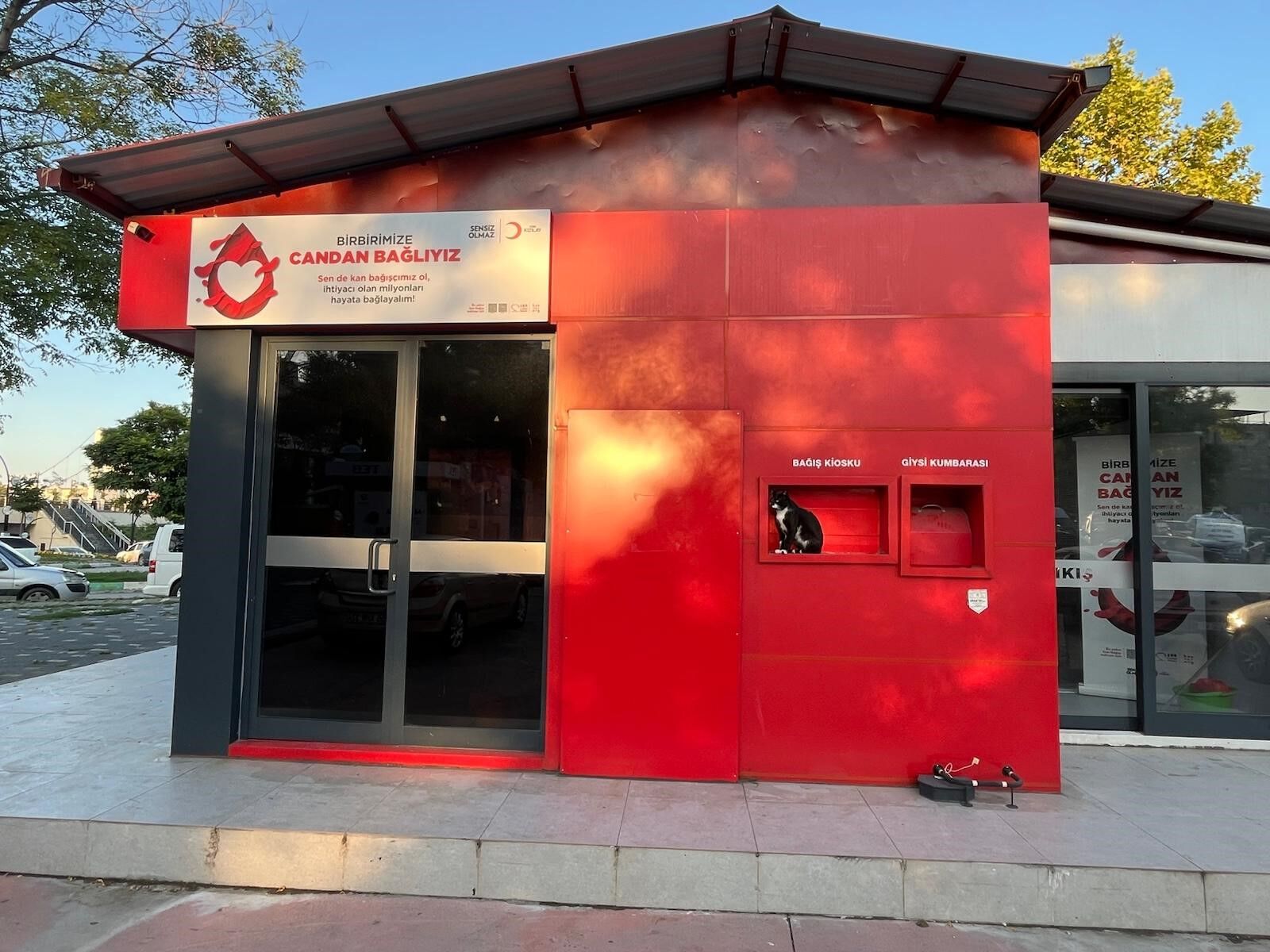 samsun haber Samsun'da Kızılay’ın “gönüllü personeli” görenleri gülümsetti