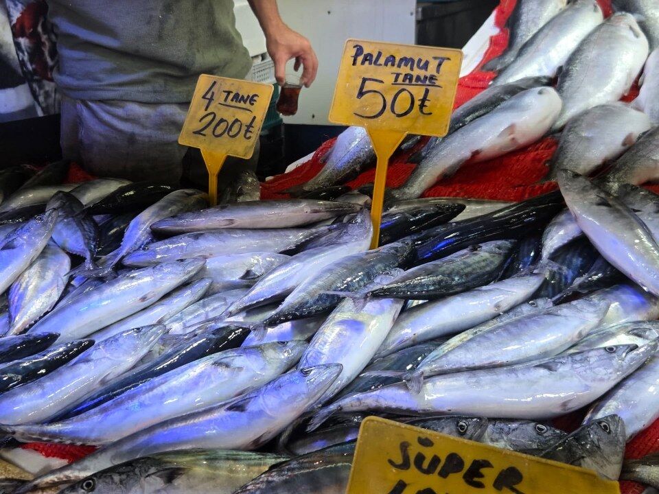 Samsun'da palamut bereketi! Fiyatı 50 TL'ye kadar geriledi