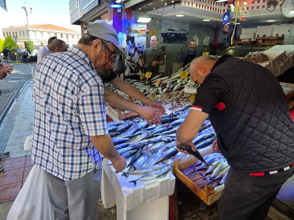 SAMSUN HABER Samsun'da palamut bereketi! Fiyatı 50 TL'ye kadar geriledi