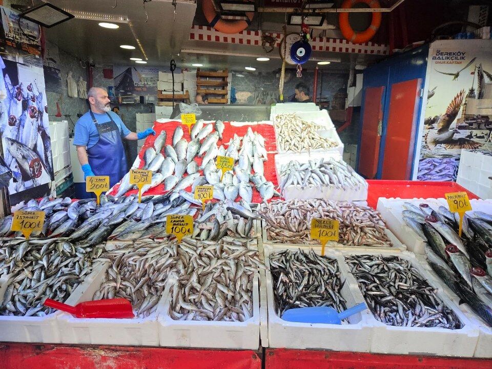 SAMSUN HABER Samsun'da palamut bereketi! Fiyatı 50 TL'ye kadar geriledi