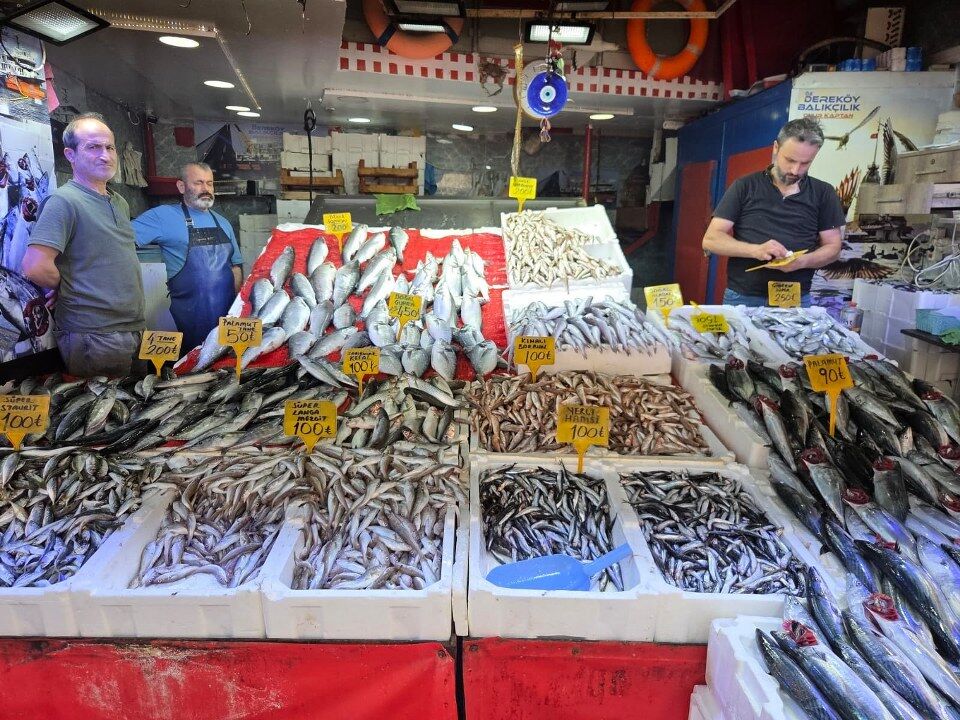 SAMSUN HABER Samsun'da palamut bereketi! Fiyatı 50 TL'ye kadar geriledi
