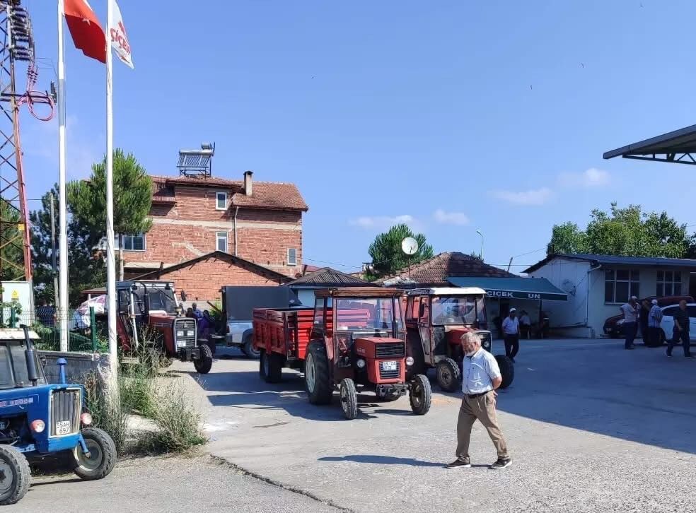 samsun haber Kavak’ta buğday alımı tamamlandı: Rakamlar dikkat çekti