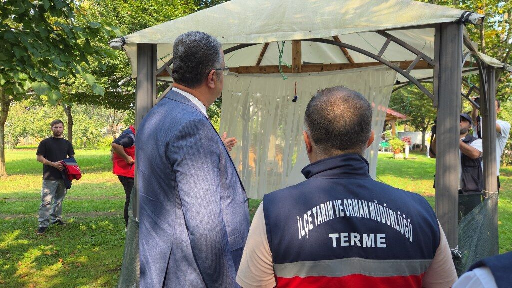 Samsun’da kokarca istilasına karşı yeni hamle! 