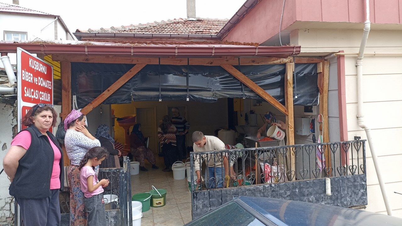 Samsun’da kuşburnu mesaisi! Günler süren işlem dakikalara indi
