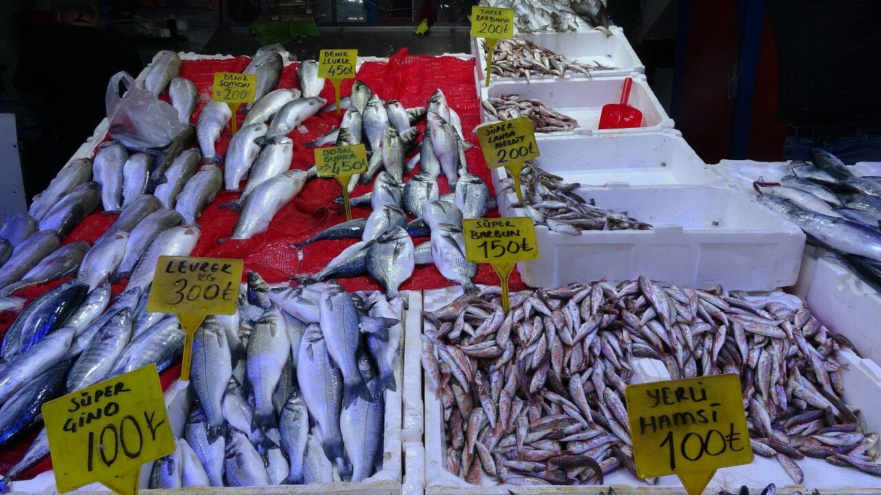 Samsun’da palamut bereketi! Almak için kuyruğa girdiler