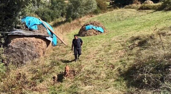 Karadeniz'de 30 yıllık cinayet aydınlatıldı! 20 yıl mağarada yaşamış