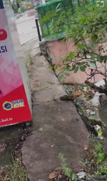 samsun haber Atakum’da vatandaş isyan etti: “Yakında bu bahçeye uçacağız”