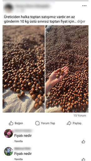 Fındık üreticisi çareyi internette arıyor