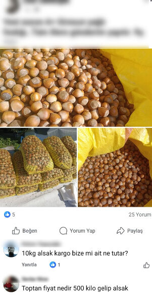 Fındık üreticisi çareyi internette arıyor