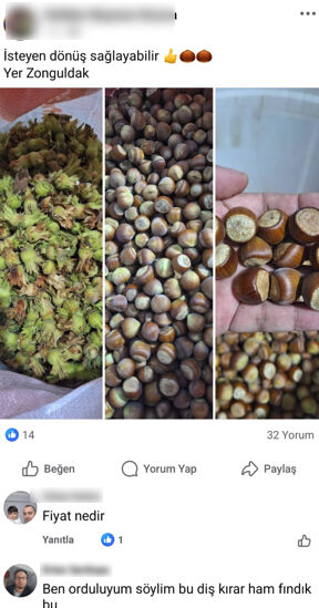 Fındık üreticisi çareyi internette arıyor