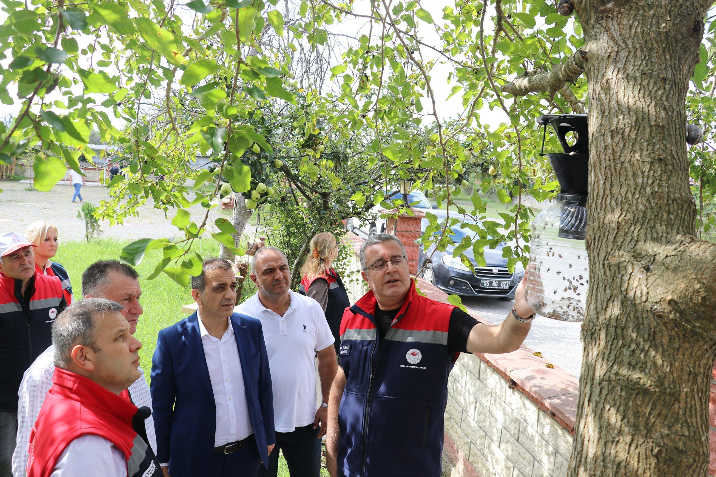 Samsun Haber: Samsun'da kahverengi kokarcaya karşı 26 bin tuzak kuruldu
