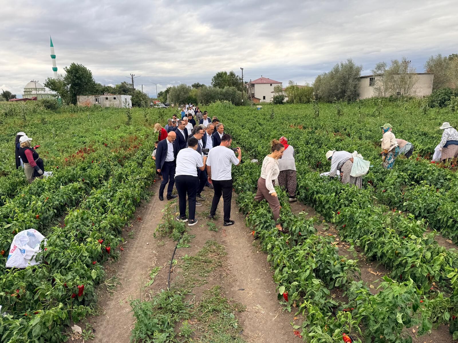 Samsun Haber: Yeni Partili Murat Çan’dan Bafra’da üretici mesajı