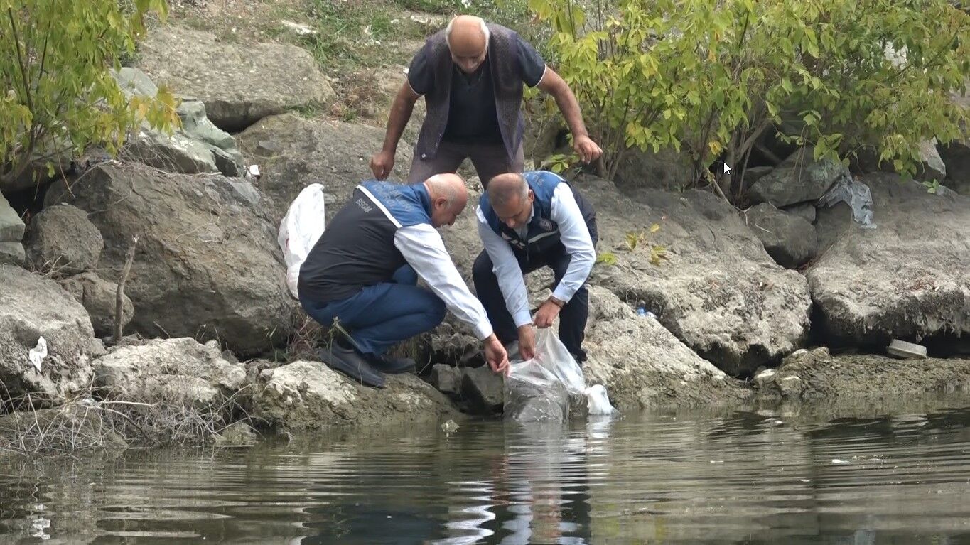 Samsun Haber Samsunun Ic Sulari Baliklandirildi (3)
