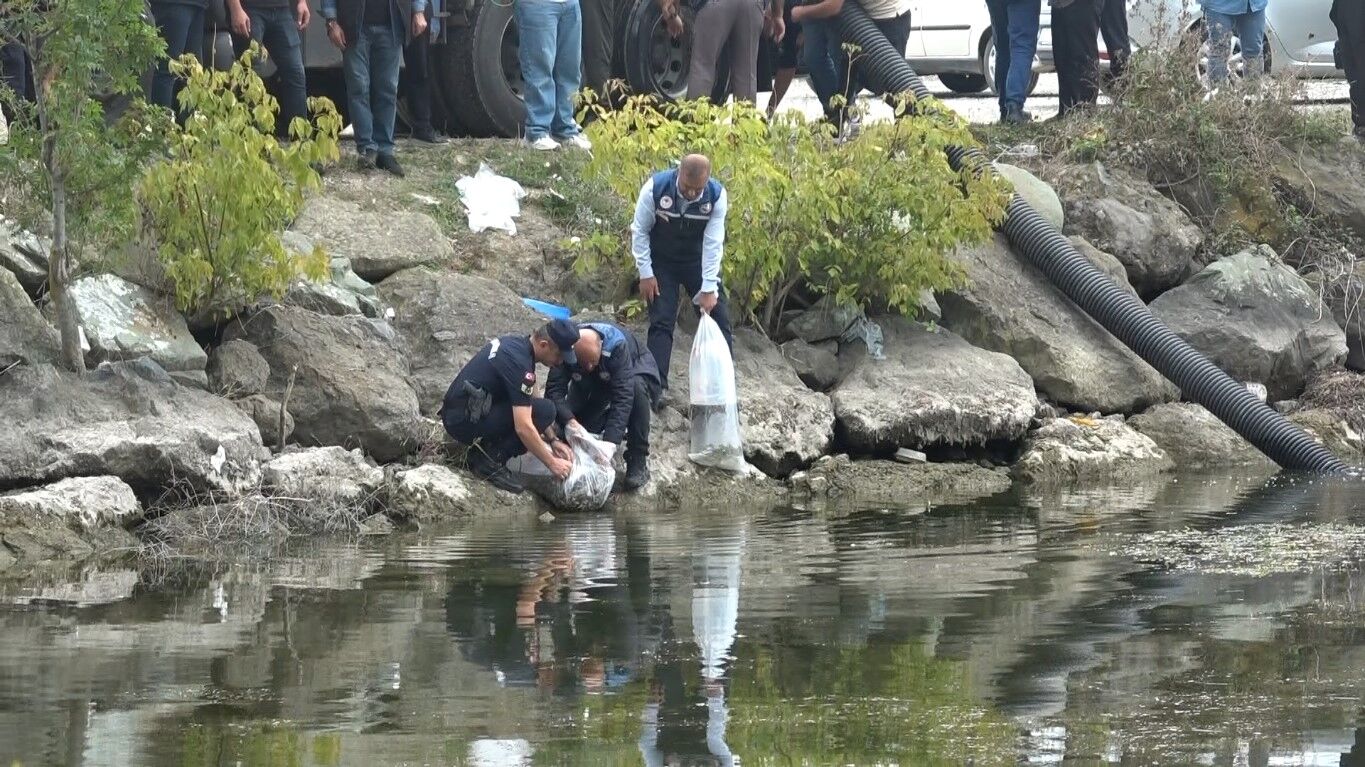 Samsun Haber Samsunun Ic Sulari Baliklandirildi (3)
