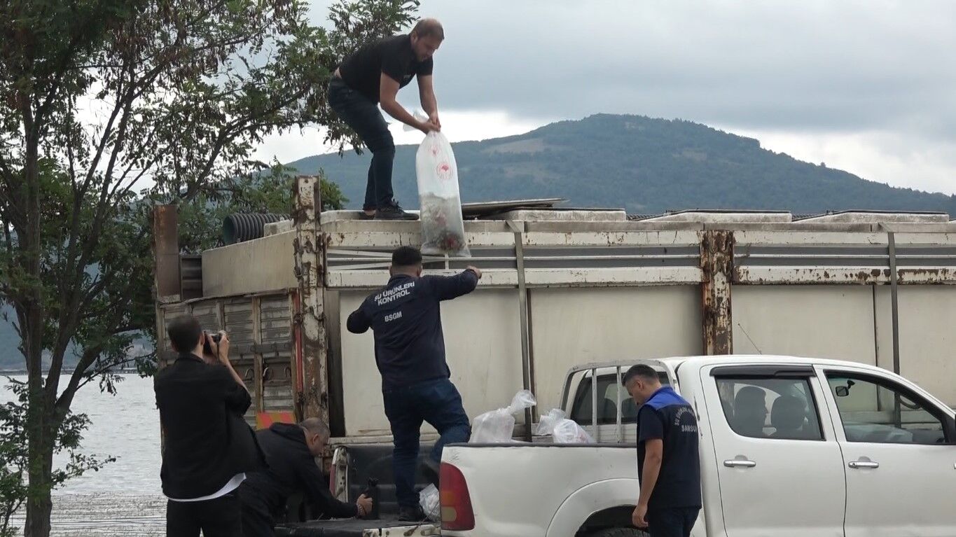 Samsun Haber Samsunun Ic Sulari Baliklandirildi (6)
