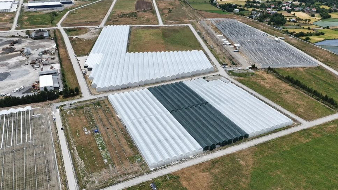 Samsun Haber: Samsun tarımında yeni dönem: Sera yatırımları büyüyor