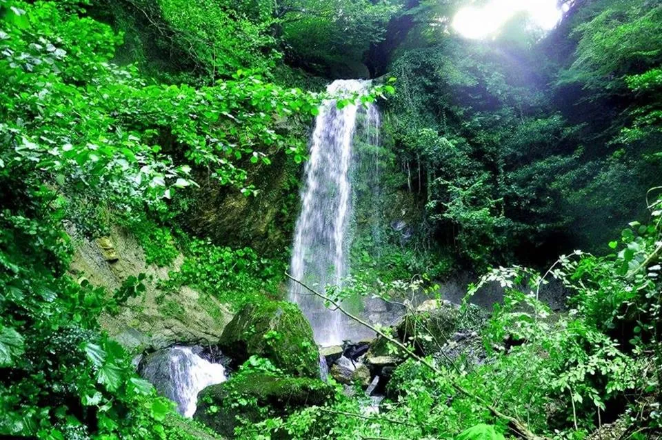 Samsun Yeşilpınar Şelalesi