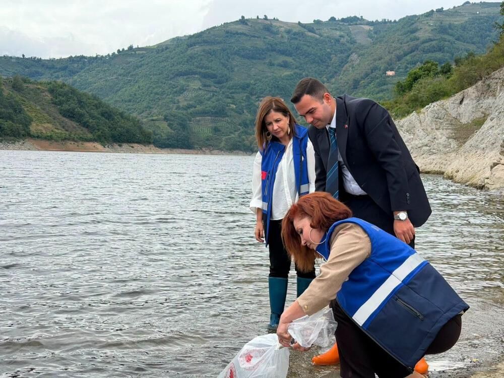Samsun Haber: Samsun’da baraj gölüne 250 bin yavru sazan bırakıldı