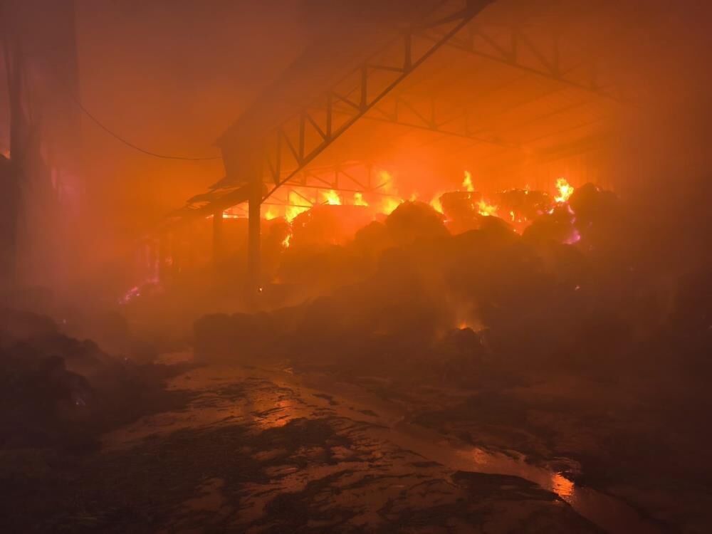 Samsun Haber: Samsun’da çiftlikte yangın! Ekipler sevk edildi