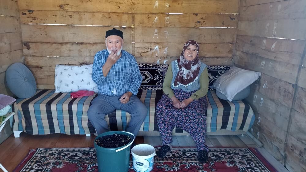 Samsun Haber: Samsun’da emekli çift aronya bahçesiyle örnek oluyor