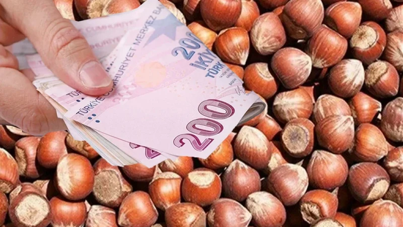 Samsun haber:Samsun’da fındık kaç TL oldu? İşte 4 Ekim güncel fiyatlar