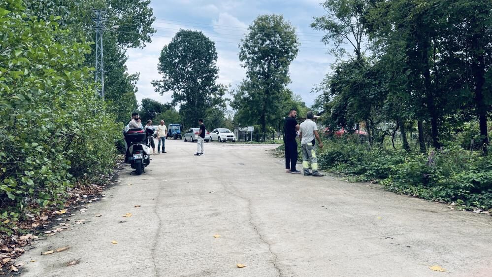 Samsun Haber: Samsun'da hayvanı kurtarmak isterken elektrik akımına kapıldılar