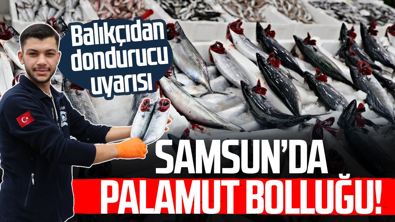 Samsun’da palamut bolluğu! Balıkçıdan dondurucu uyarısı