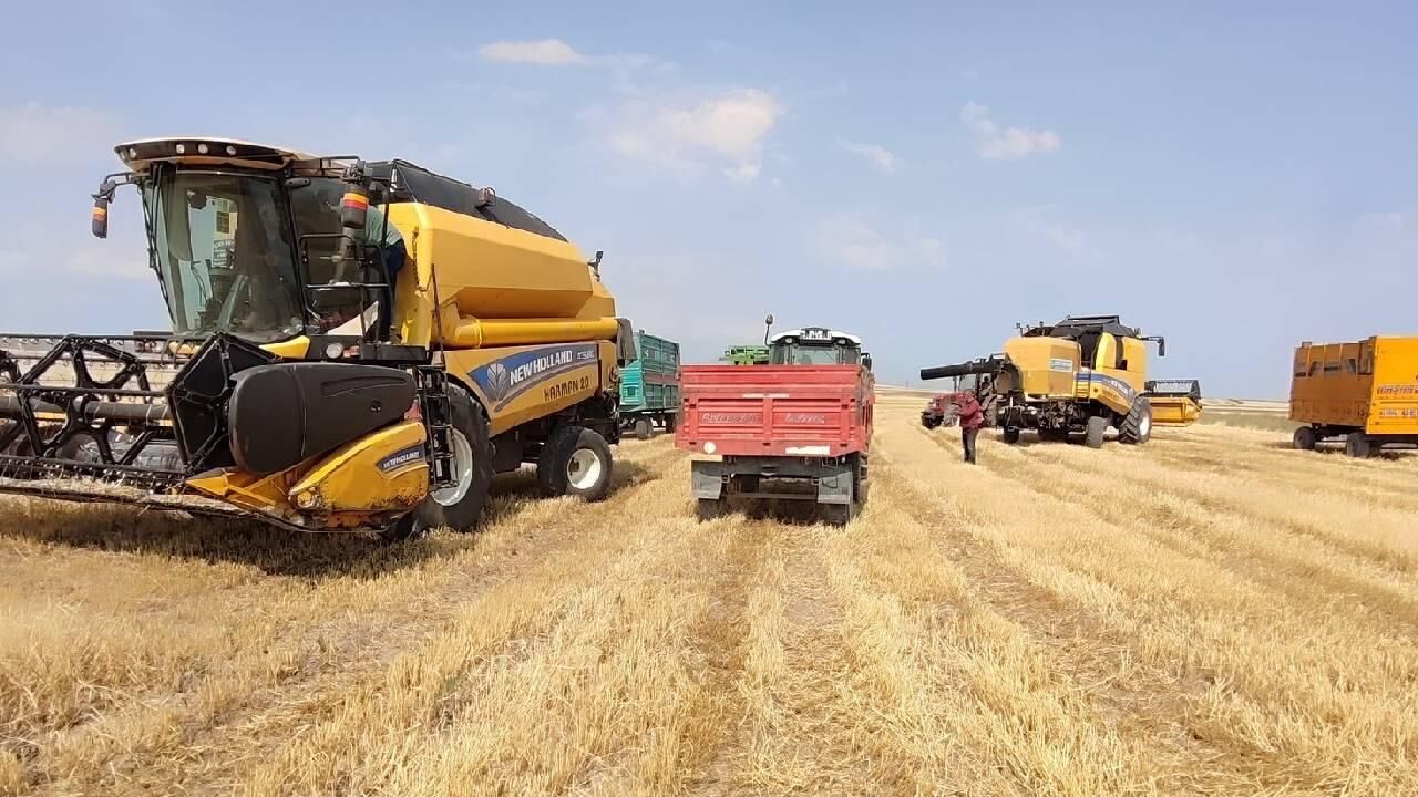 Samsun Haber: Samsunlu çiftçiler dikkat! ÇKS başvuruları başladı