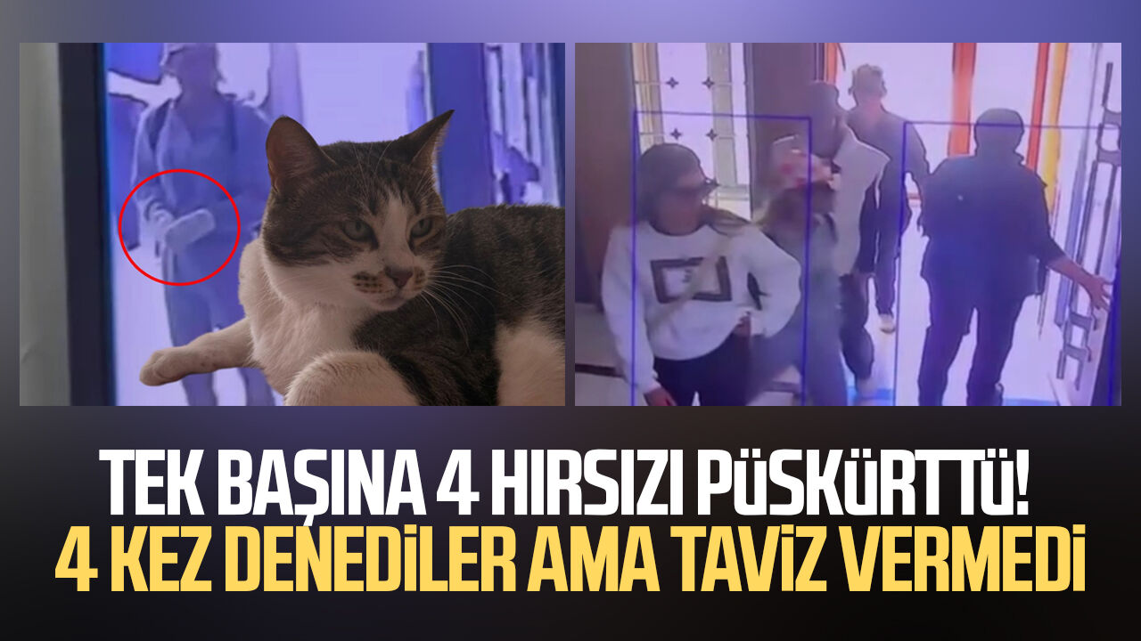 Tek başına 4 hırsızı püskürttü! Ev sahibi şaşkına döndü