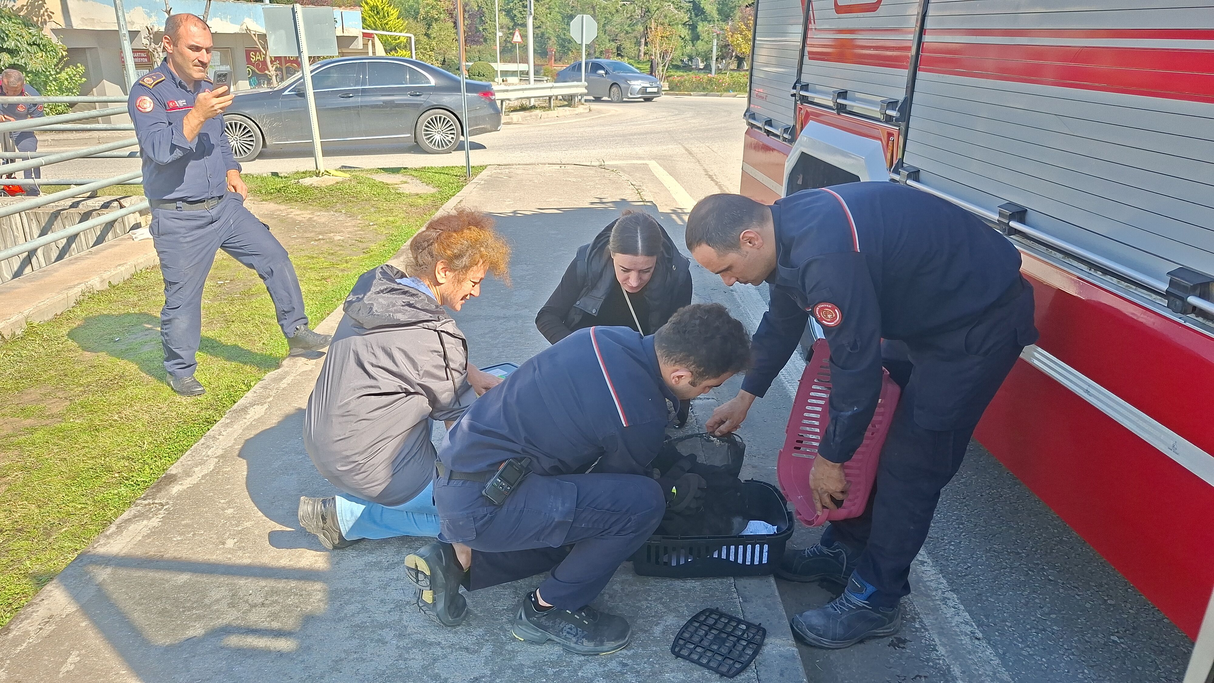 Samsun Haber:Samsun’da yavru kedi için seferber oldular