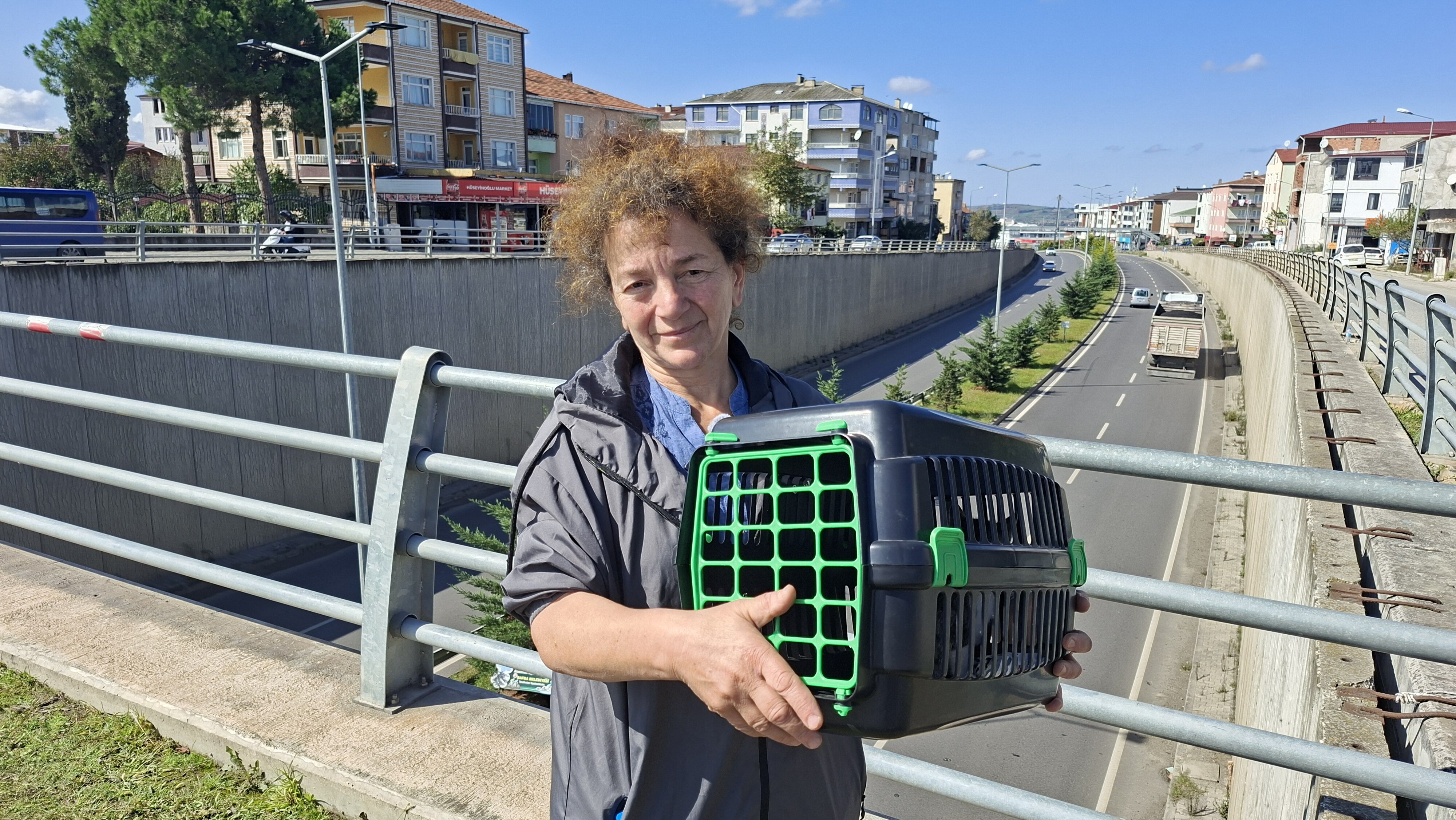 Samsun Haber: Samsun’da yavru kedi için seferber oldular