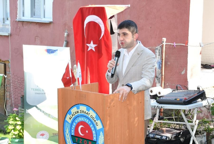 Samsun Haber: Samsun’da zeytin hasadı! Bu yıl 2 ton ürün bekleniyor