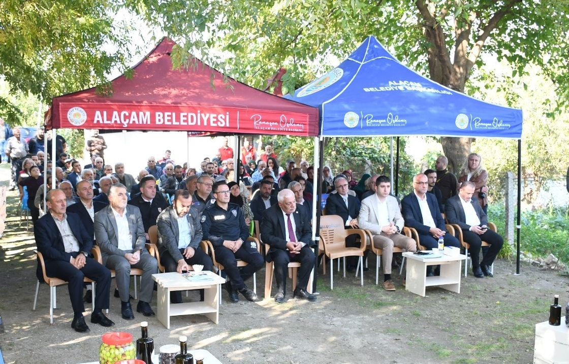 Samsun Haber: Samsun’da zeytin hasadı! Bu yıl 2 ton ürün bekleniyor