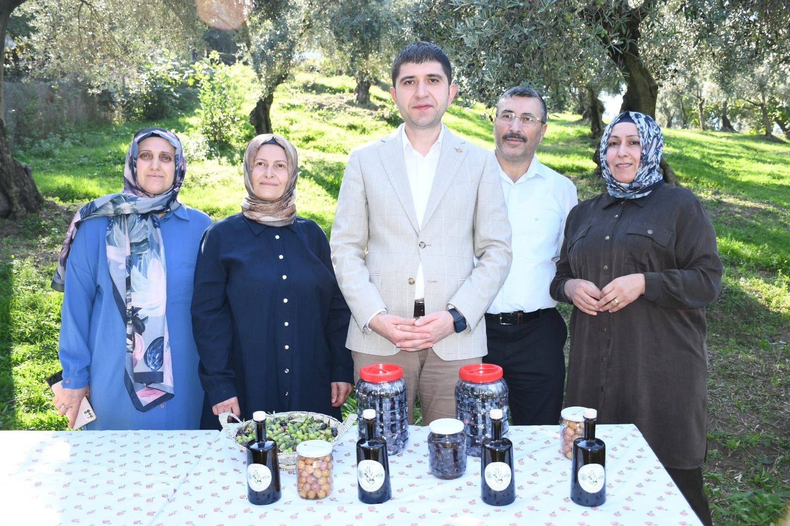 Samsun Haber: Samsun’da zeytin hasadı! Bu yıl 2 ton ürün bekleniyor