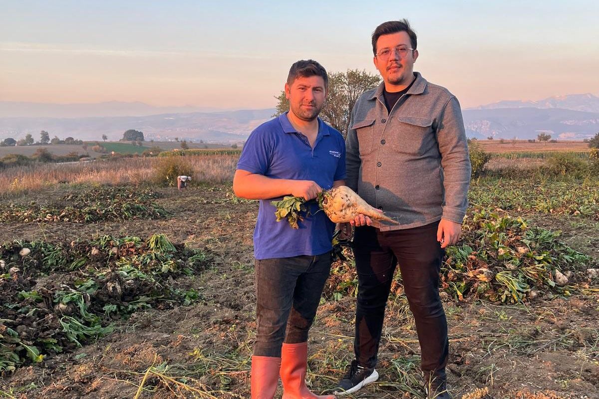 Samsun’da pancar hasadı başladı! Gözler fiyatta