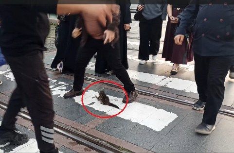 samsun haber: Samsun’da yürekleri ağza getiren anlar! Endişeyle izlediler 