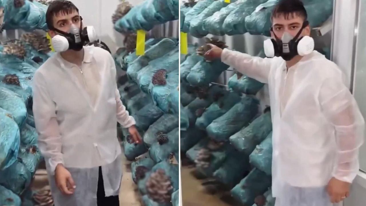 Avukatlığı bırakıp bu işe başladı! Kazancını bir ayda 8'e katladı