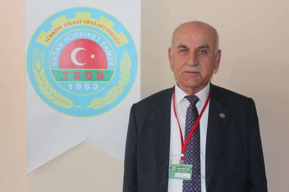 Samsun Haber: Bafra Ovası’nda alarm zilleri! Çiftçi kara kara düşünüyor