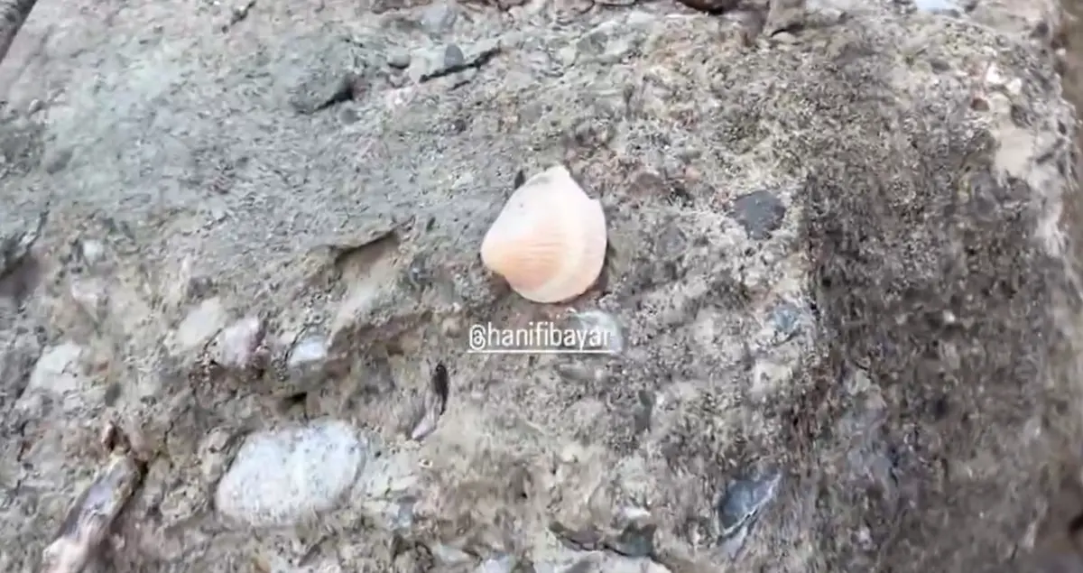 Betonun içinden çıkan detay şaşkına çevirdi